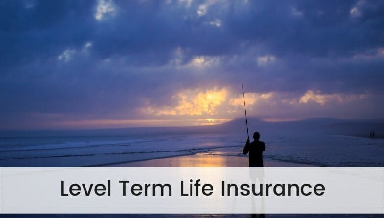 what-is-level-term-life-insurance